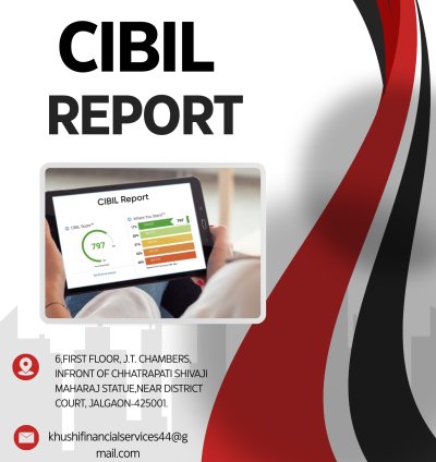 CIBIL Report