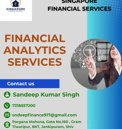 Financial Analytics Services