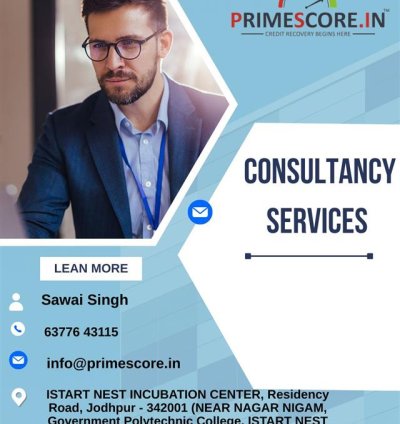 Consultancy Services