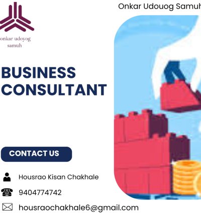 Business Consultant