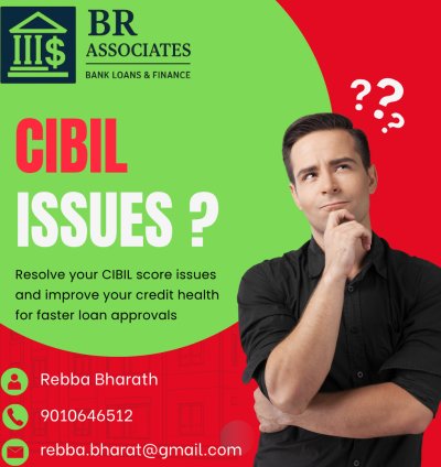 Cibil Issues