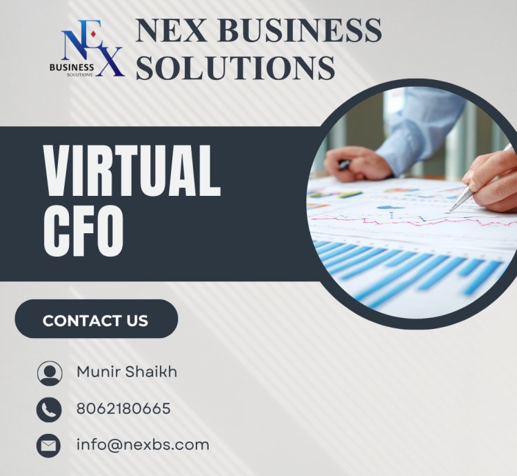Virtual CFO