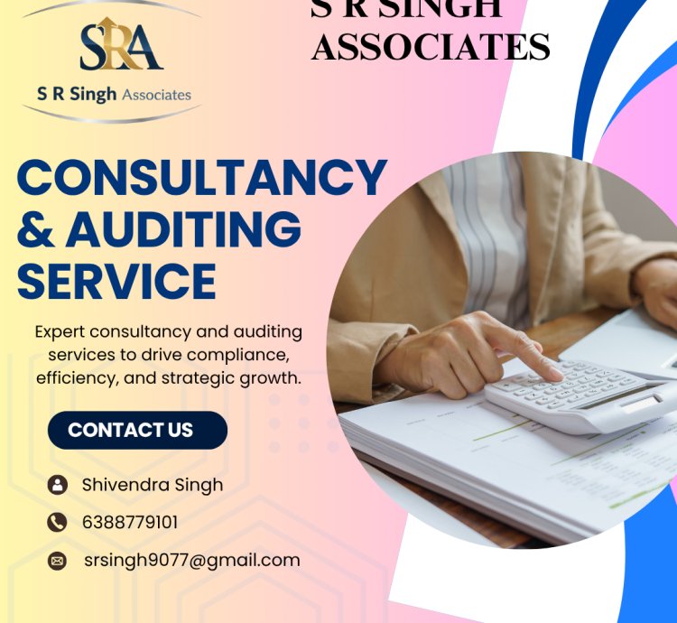 Consultancy & Auditing Service