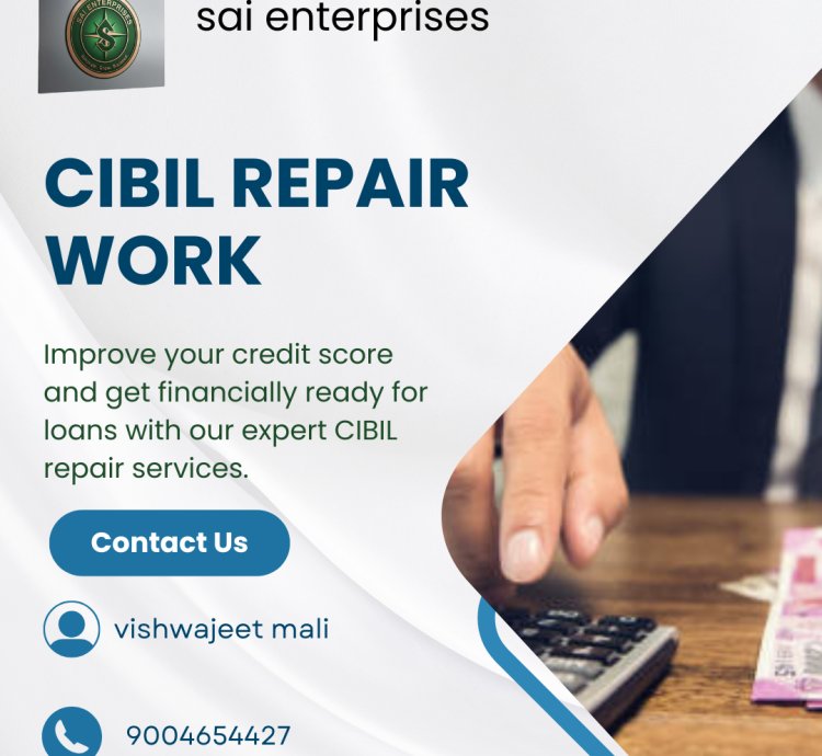 CIBIL Repair Work