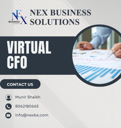 Virtual CFO