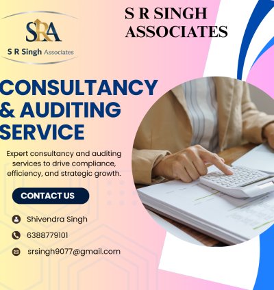Consultancy & Auditing Service