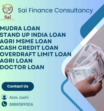 Government-Backed Business Loans