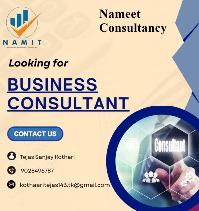 Business Consultant
