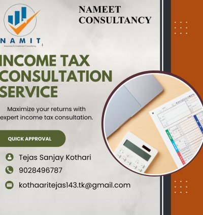 Income Tax Consultation Service