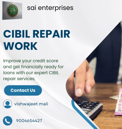 CIBIL Repair Work