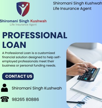 Professional loan
