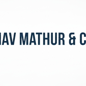 Abhinav Mathur and company